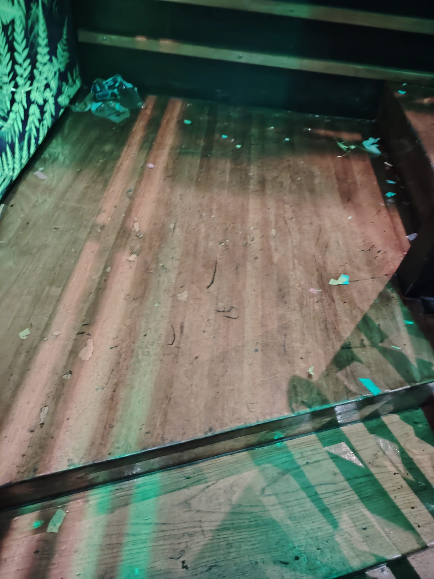 SIMPLY THE BEST, obrt za čišćenje, vl. Sanela Grabić - 9