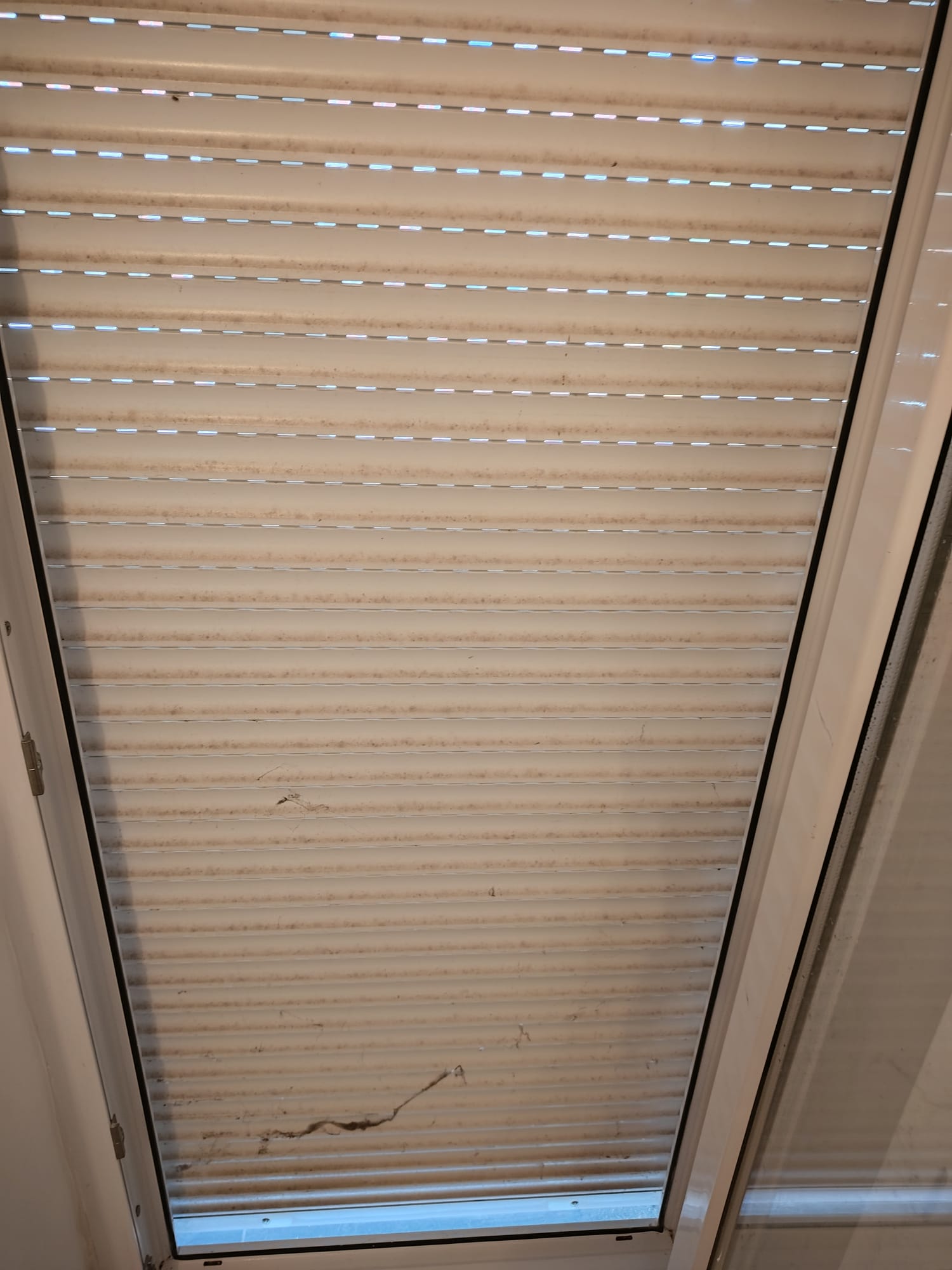 SIMPLY THE BEST, obrt za čišćenje, vl. Sanela Grabić - 51