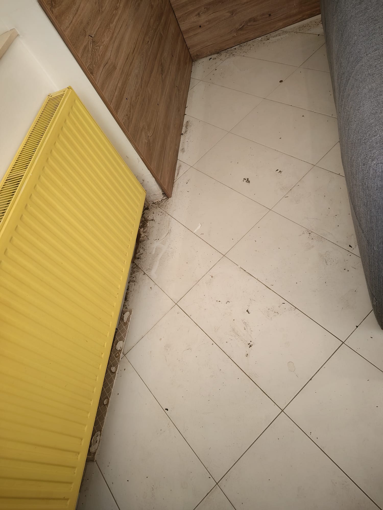 SIMPLY THE BEST, obrt za čišćenje, vl. Sanela Grabić - 75