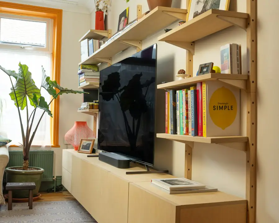TV stijena i police