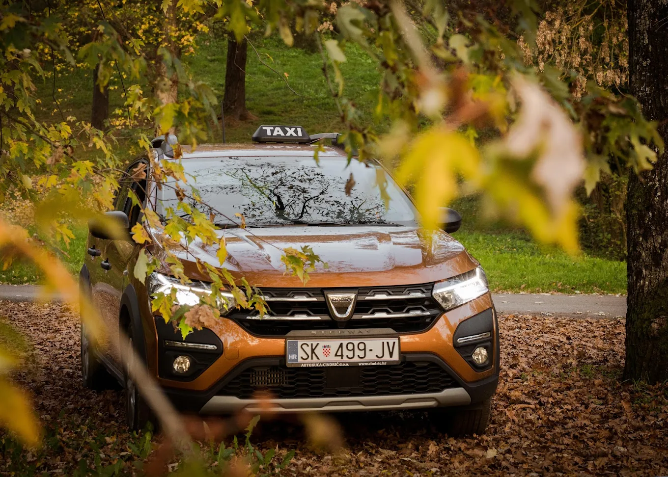 Professional taxi service in Sisak - Hero image